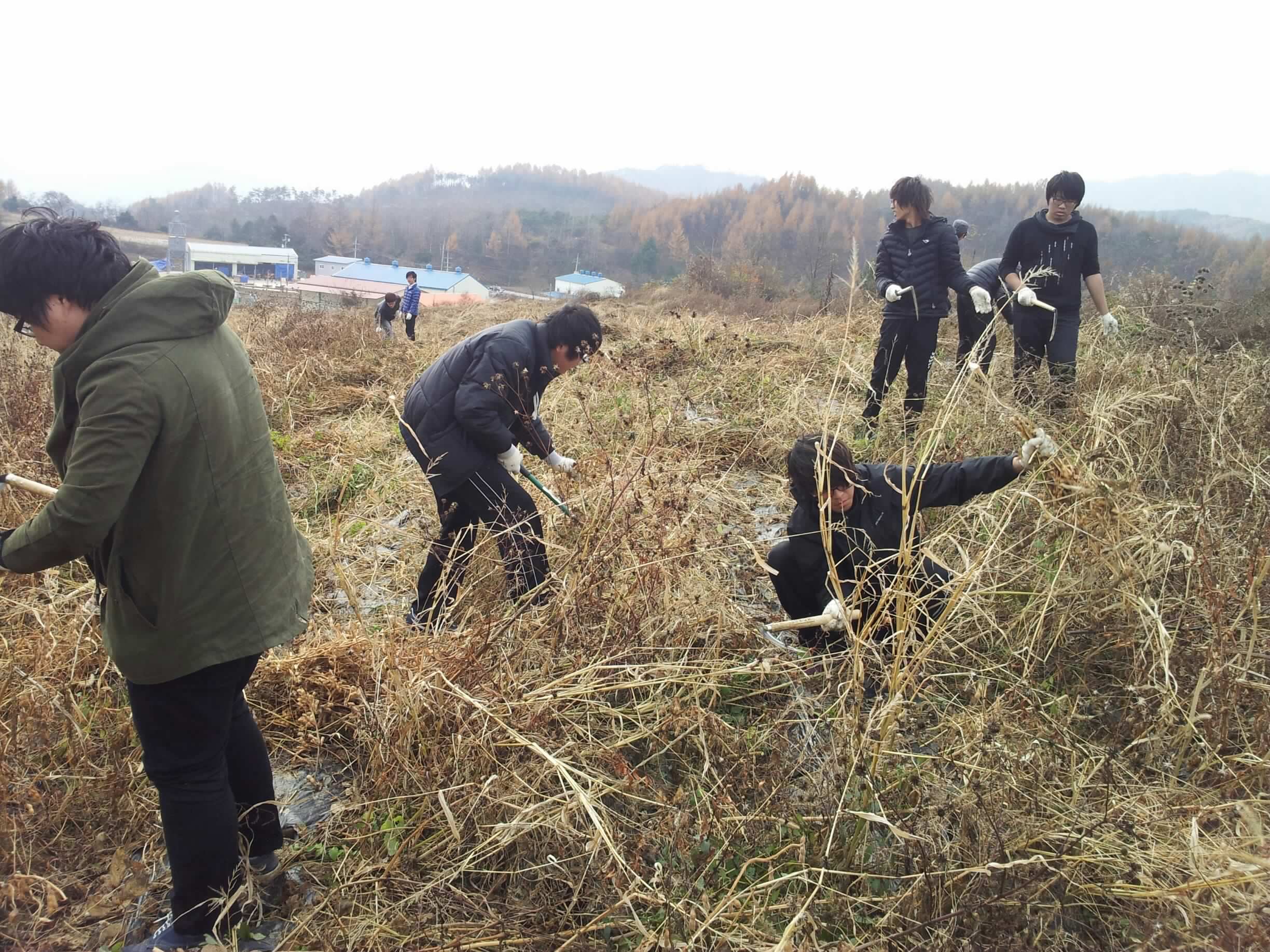 전기공학과 봉사활동